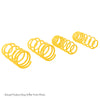 ST Sport-tech Lowering Springs Chrysler 300C 2WD / Dodge Charger Magnum