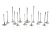 Ferrea Chevy/Chry/Ford SB 1.6in 11/32in 4.91in 14 Deg Flo Rad Grv Hollow Exhaust Valve - Set of 8