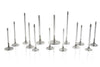 Ferrea Honda K20C1 30mm 5.47mm 114.75mm 28 Deg Taper Flo +1mm 6000 Series Exhaust Valve - Set of 8