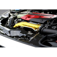 APR Performance - Honda Civic Type R 2017-Up  Carbon Fiber Radiator Cooling Shroud ( Center)
